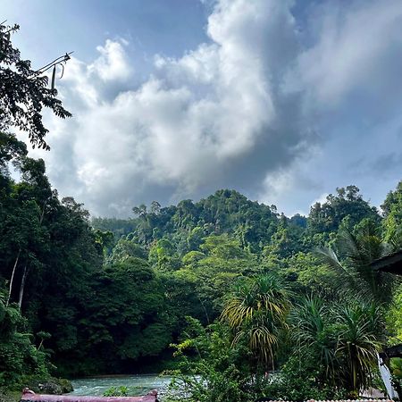 Charlys Little House Hotel Bukit Lawang Exterior photo