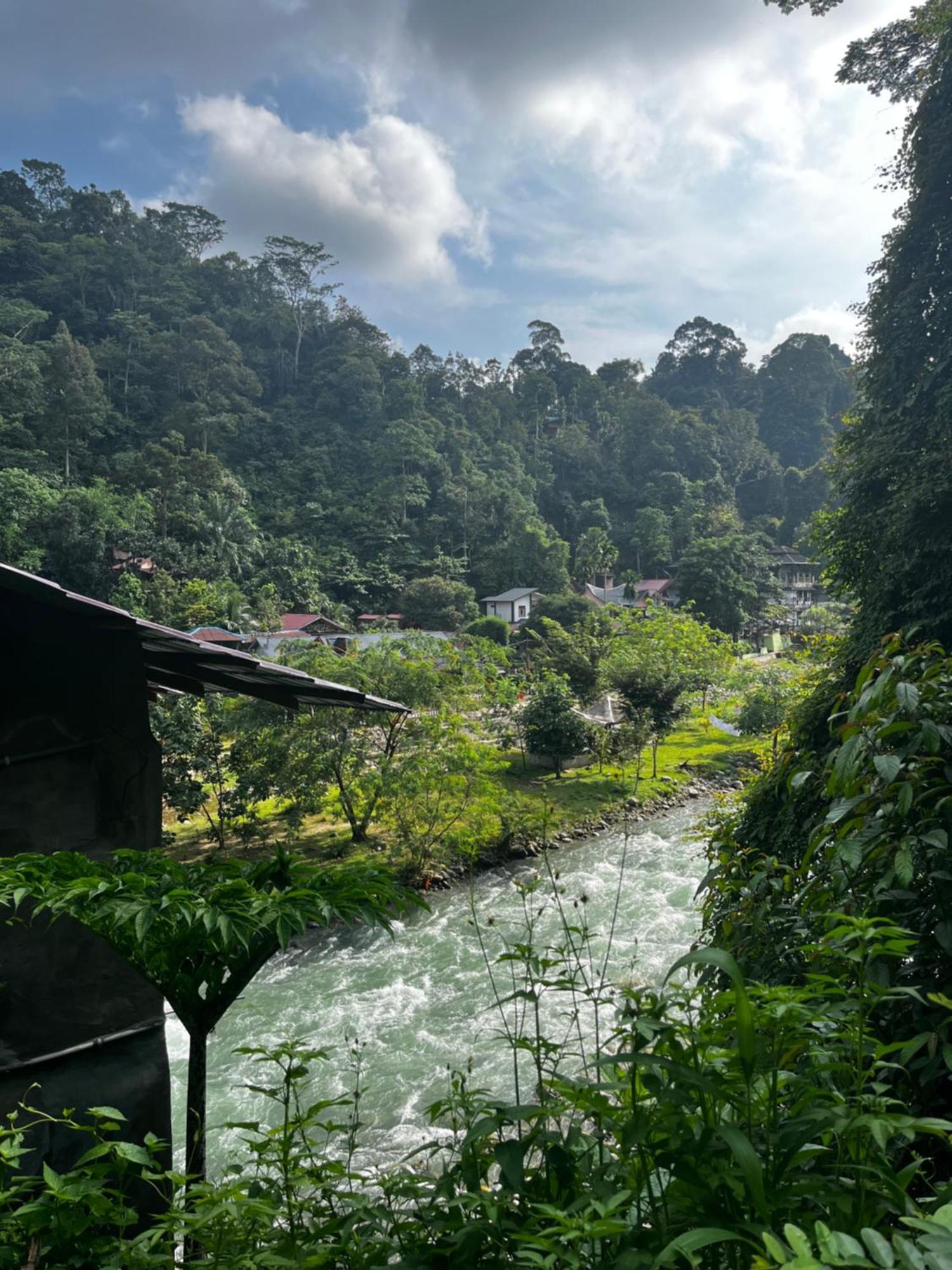 Charlys Little House Hotel Bukit Lawang Exterior photo